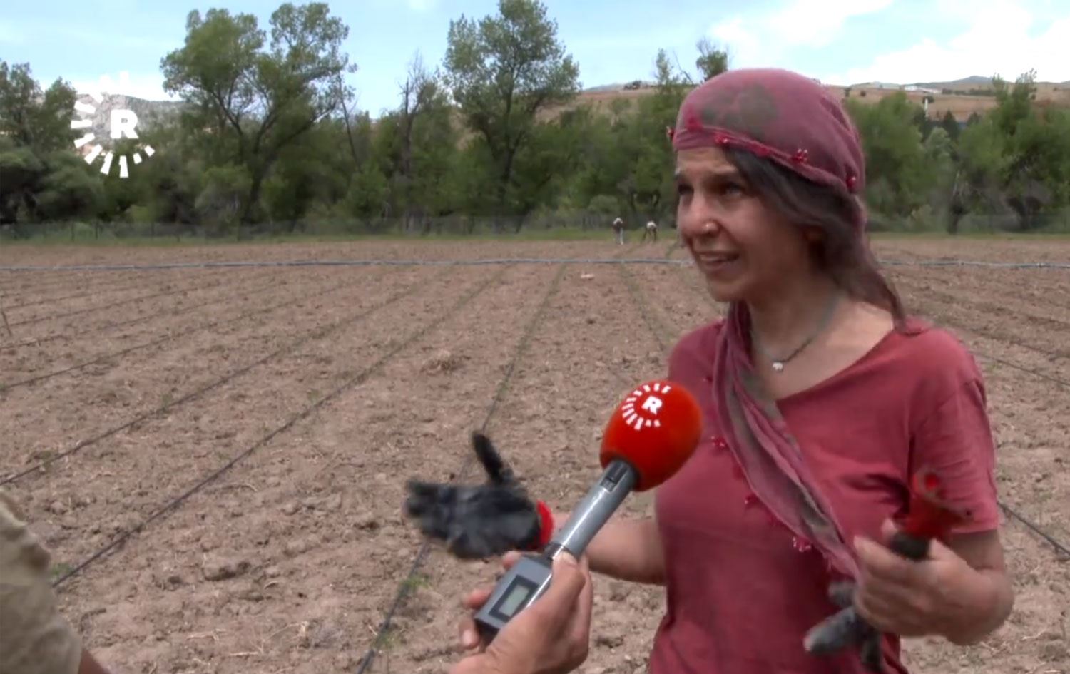 Metropol hayatından sıkılan gençler Dersim’de kolektif üretime başladı