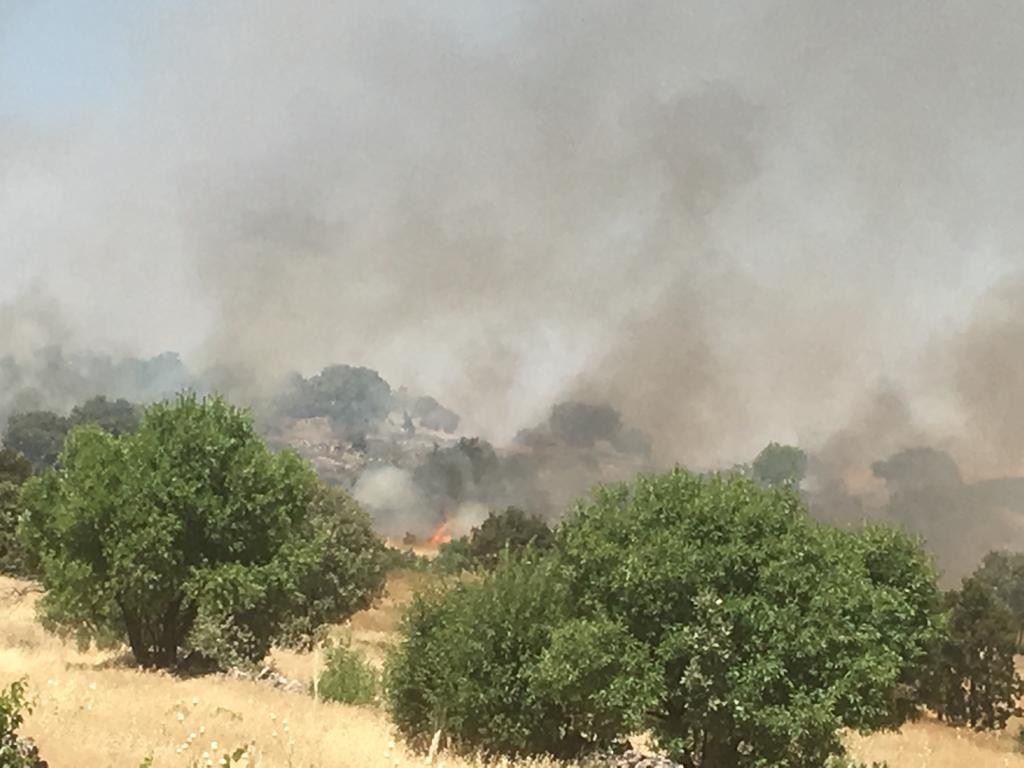 Midyat'ta üzüm bağı ve orman yangını