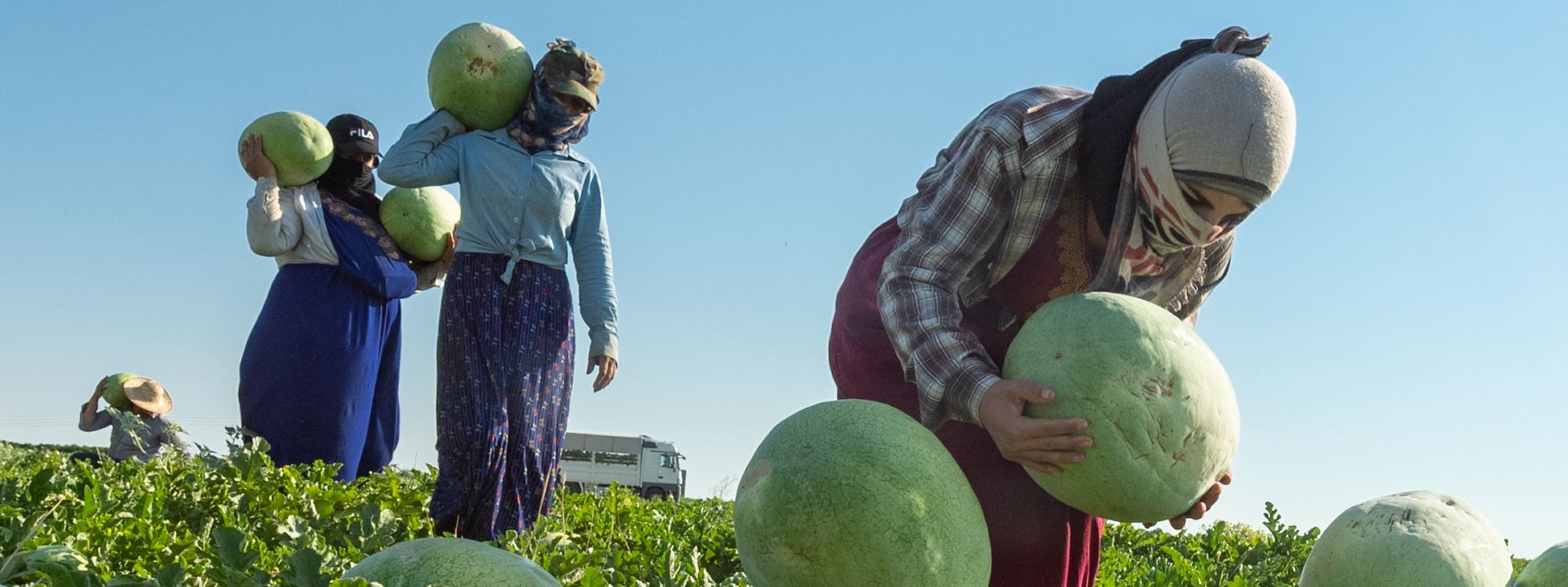 لێکردنەوەی شووتی خۆماڵیی ناوچەی زرارەتی