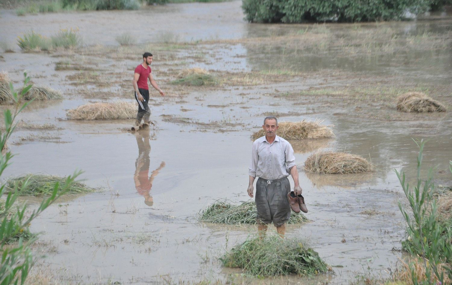 Yüksekova’da sel: 10 bin bağ ot ve bahçeler zarar gördü