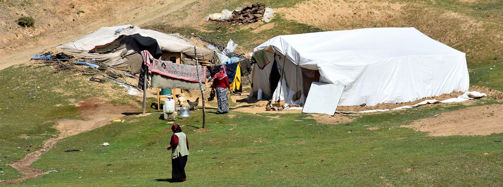 مەڕدار و سرووشتی کوێستانەکانی مووش