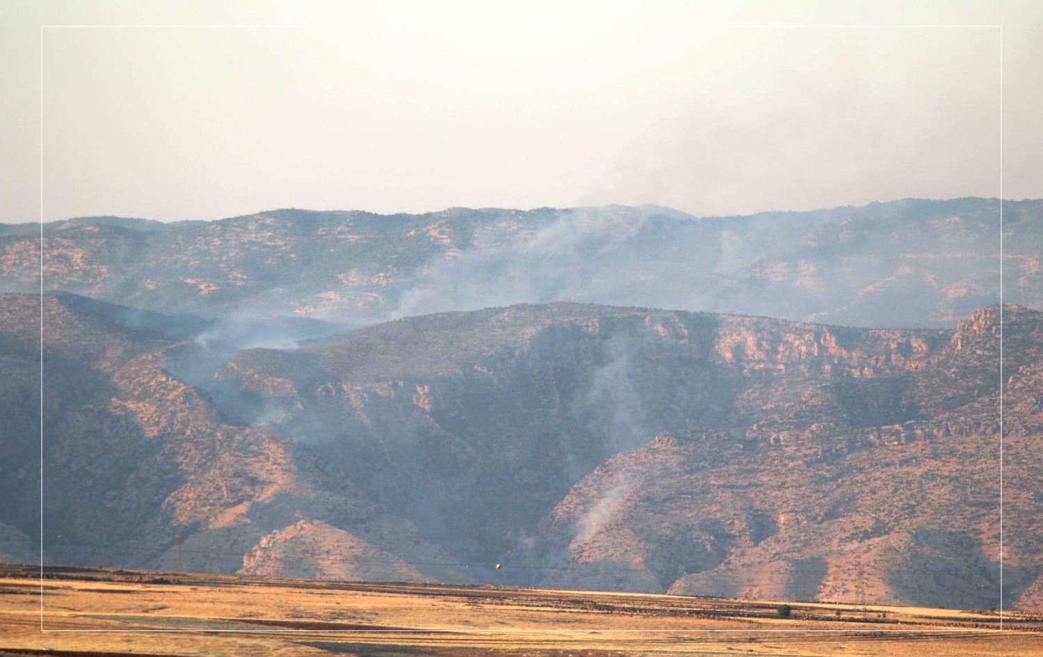 HDP’li Kaçmaz: Kürdistan’ın doğasını yakıyorlar