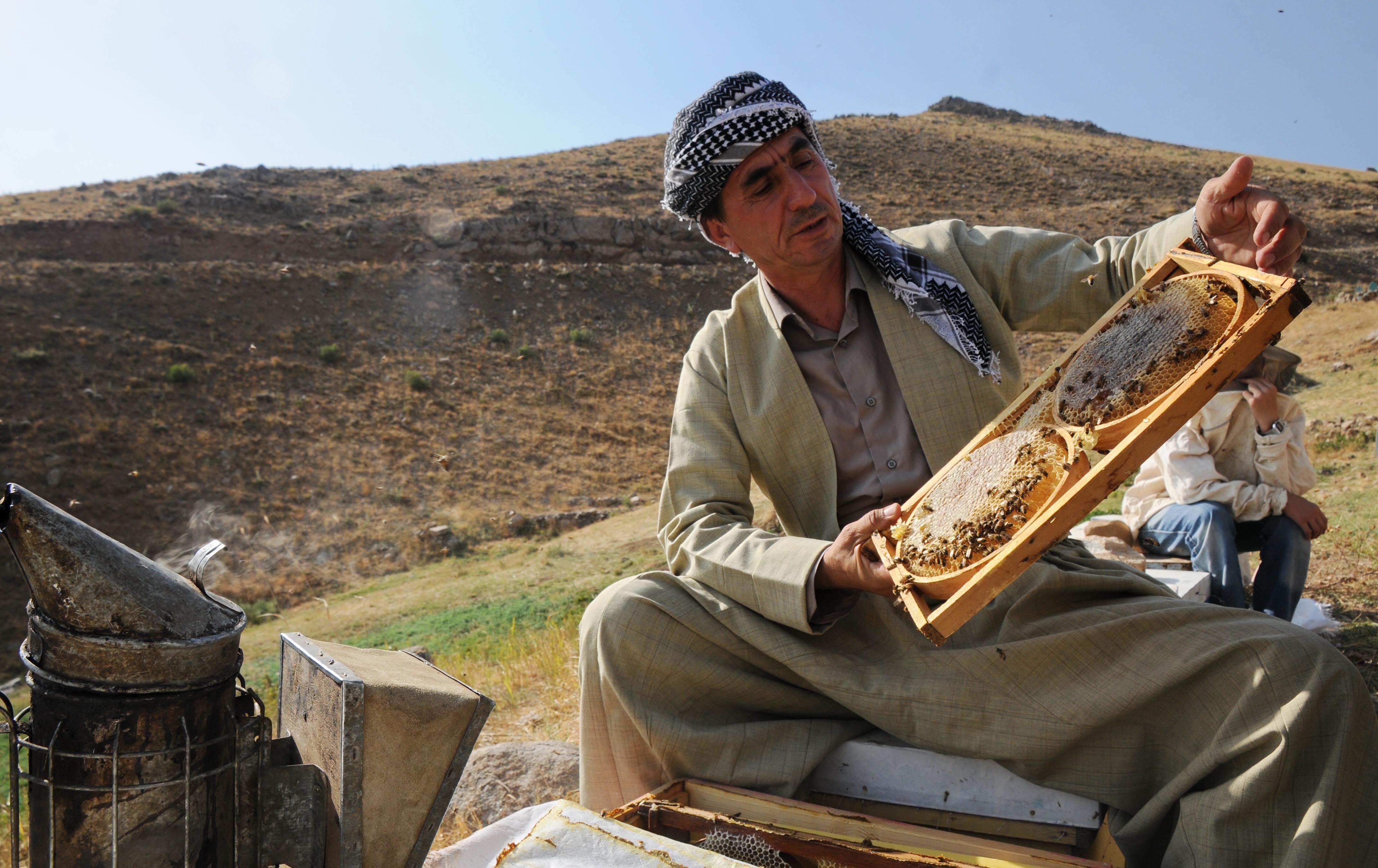 Kürdistan Bölgesi’nde bal üretimi yüzde 60 düştü