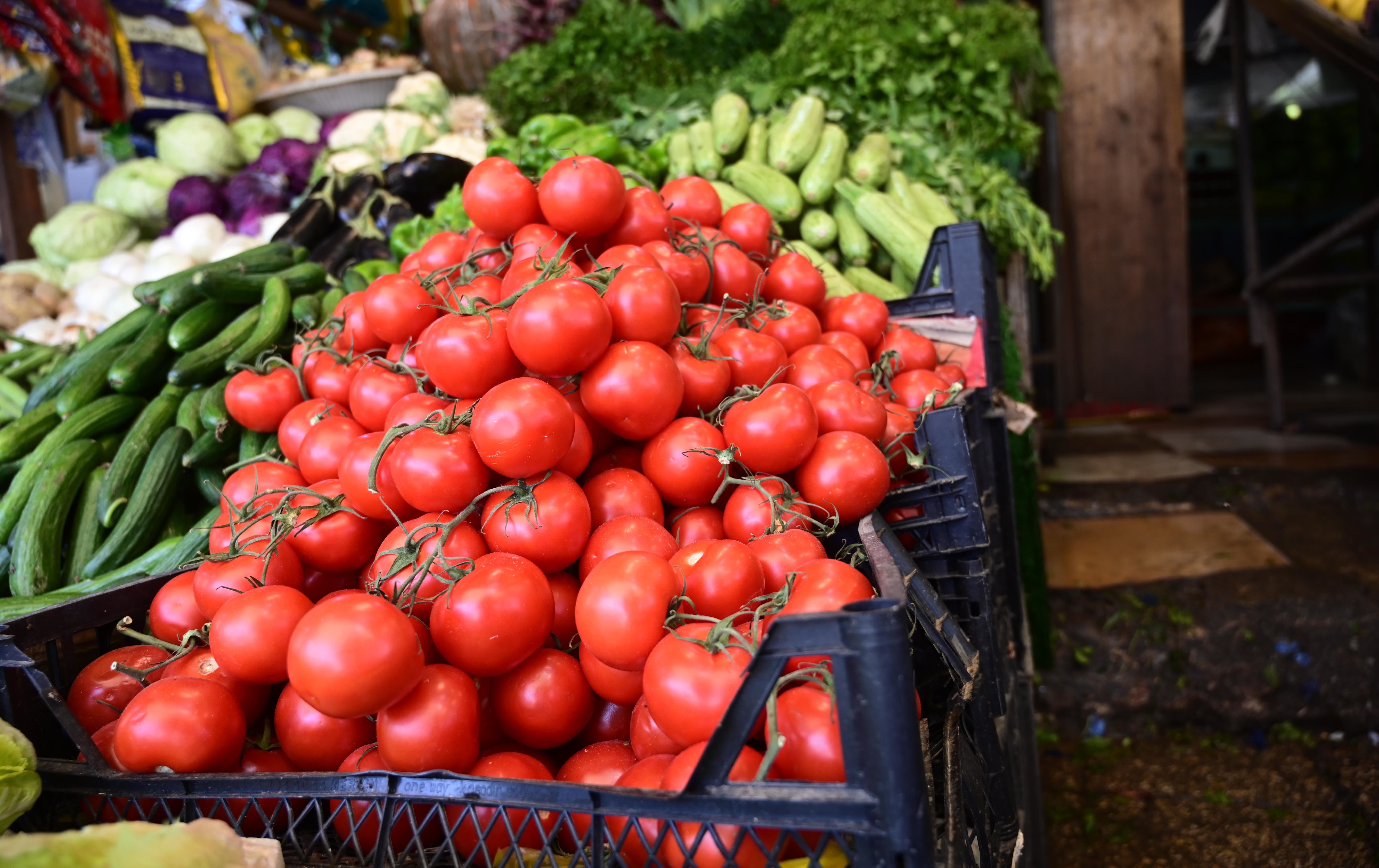 هەرێمی کوردستان بەرهەمی کشتوکاڵی هەناردە دەکات