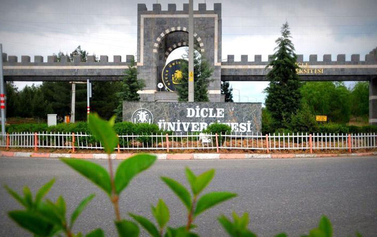 Zanîngeha Dîcle derbarê zimanê Kurdî de daxuyanî da