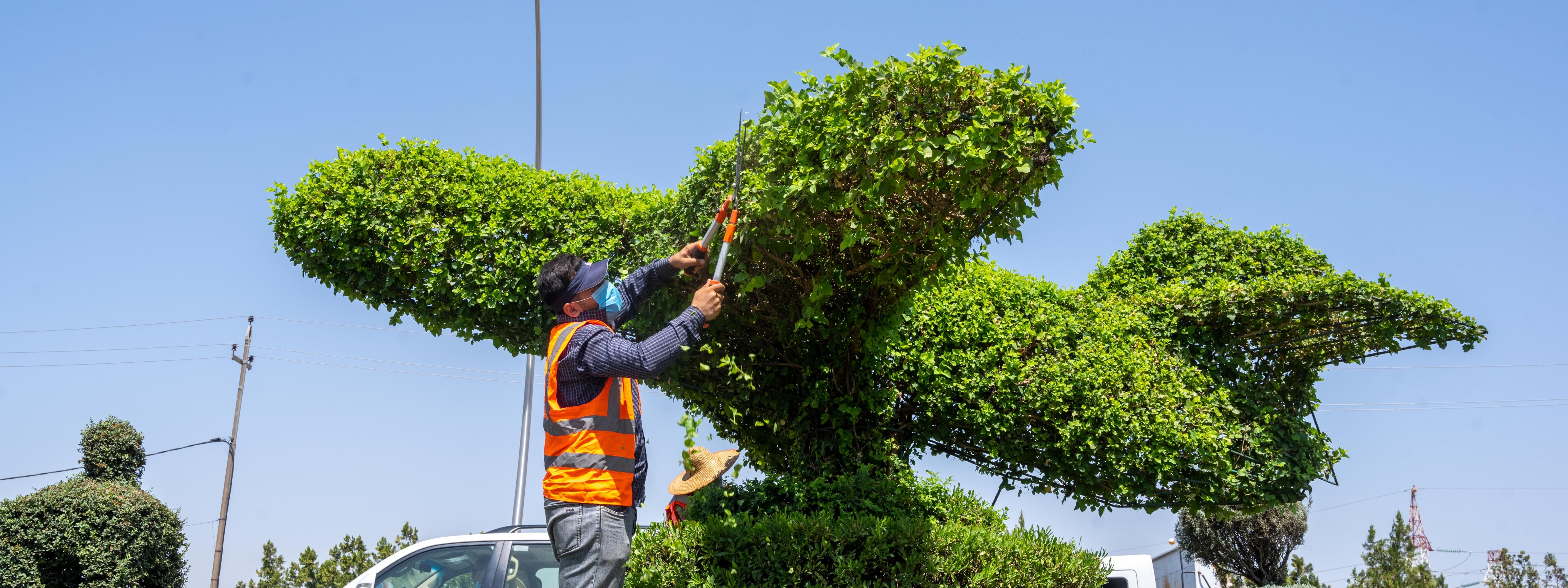 رازاندنەوەی پارک و باخچە و شەقامەکانی هەولێر بەشێوەی جیاواز