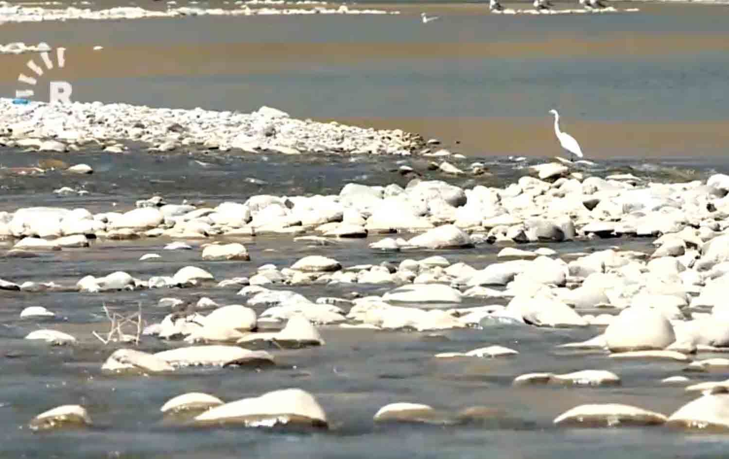 ئێران بە گرتنەوەی ئاوی زێی بچووک مەترسیی لەسەر هەرێمی کوردستان دروستکردووە
