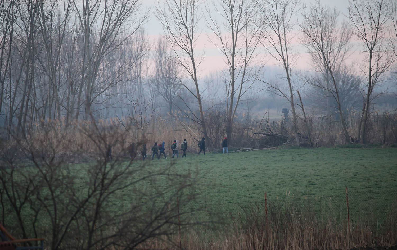 سەرۆکی دەزگای لوتکە: شەپۆلی کۆچکردن دەستیپێکردووەتەوە