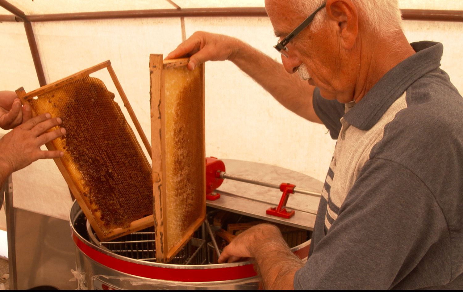 Türkiye'nin en kaliteli balını üreten Dersimli arıcılar destek bekliyor