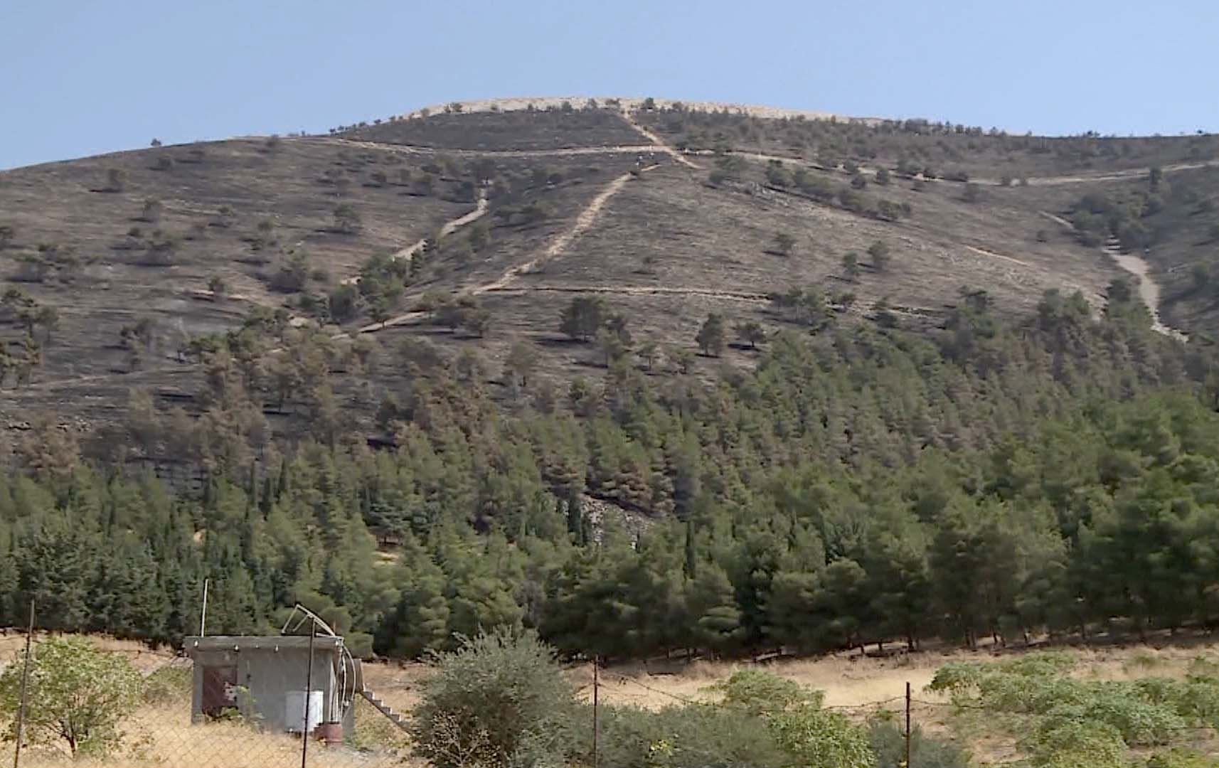 زیاتر لە 200 دۆنم زەوی و داری بەتەمەن لە شاخی گۆیژە سووتاون