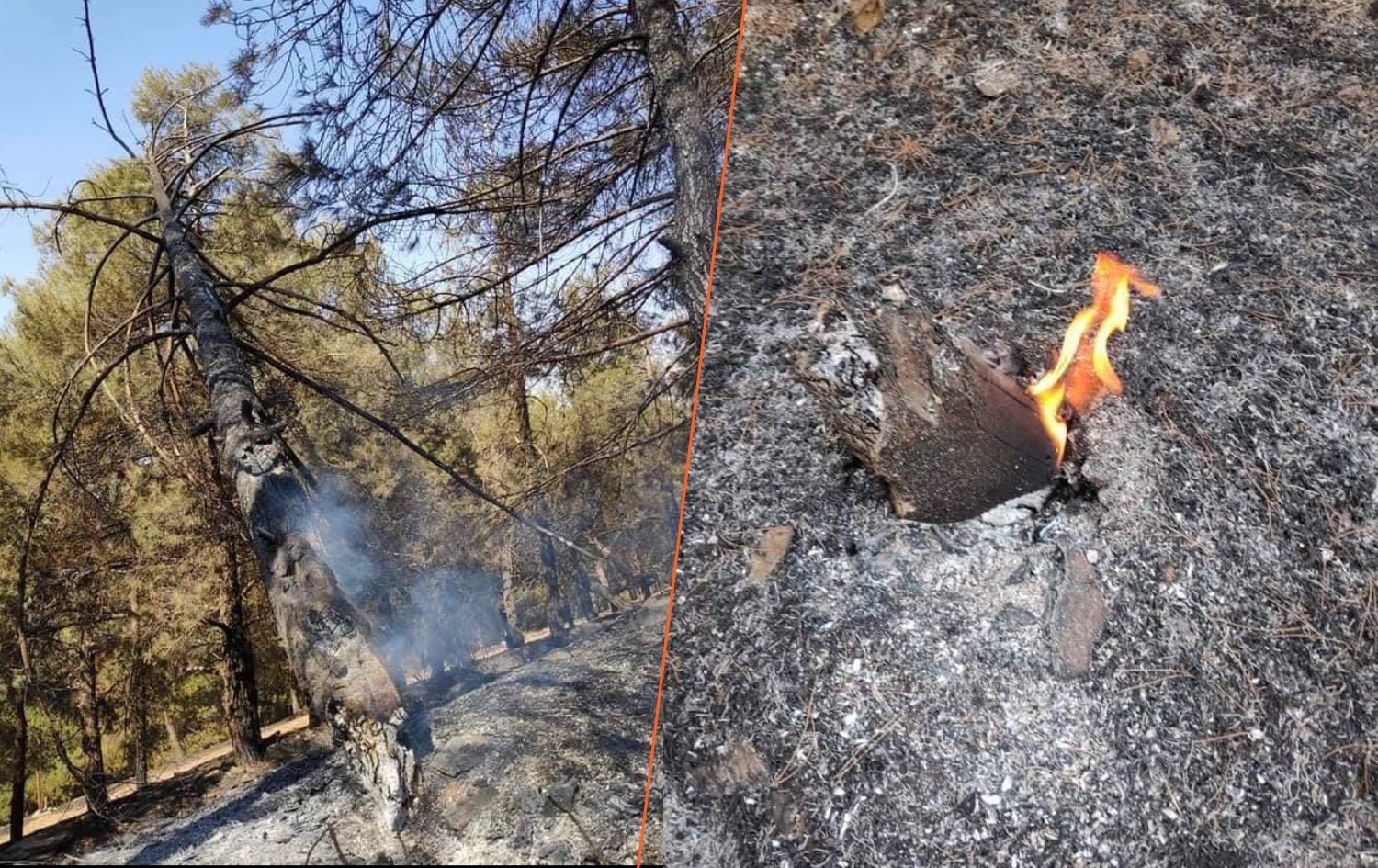 پارتی سەوز: شاخی گۆیژە بەمەبەست سووتێنراوە