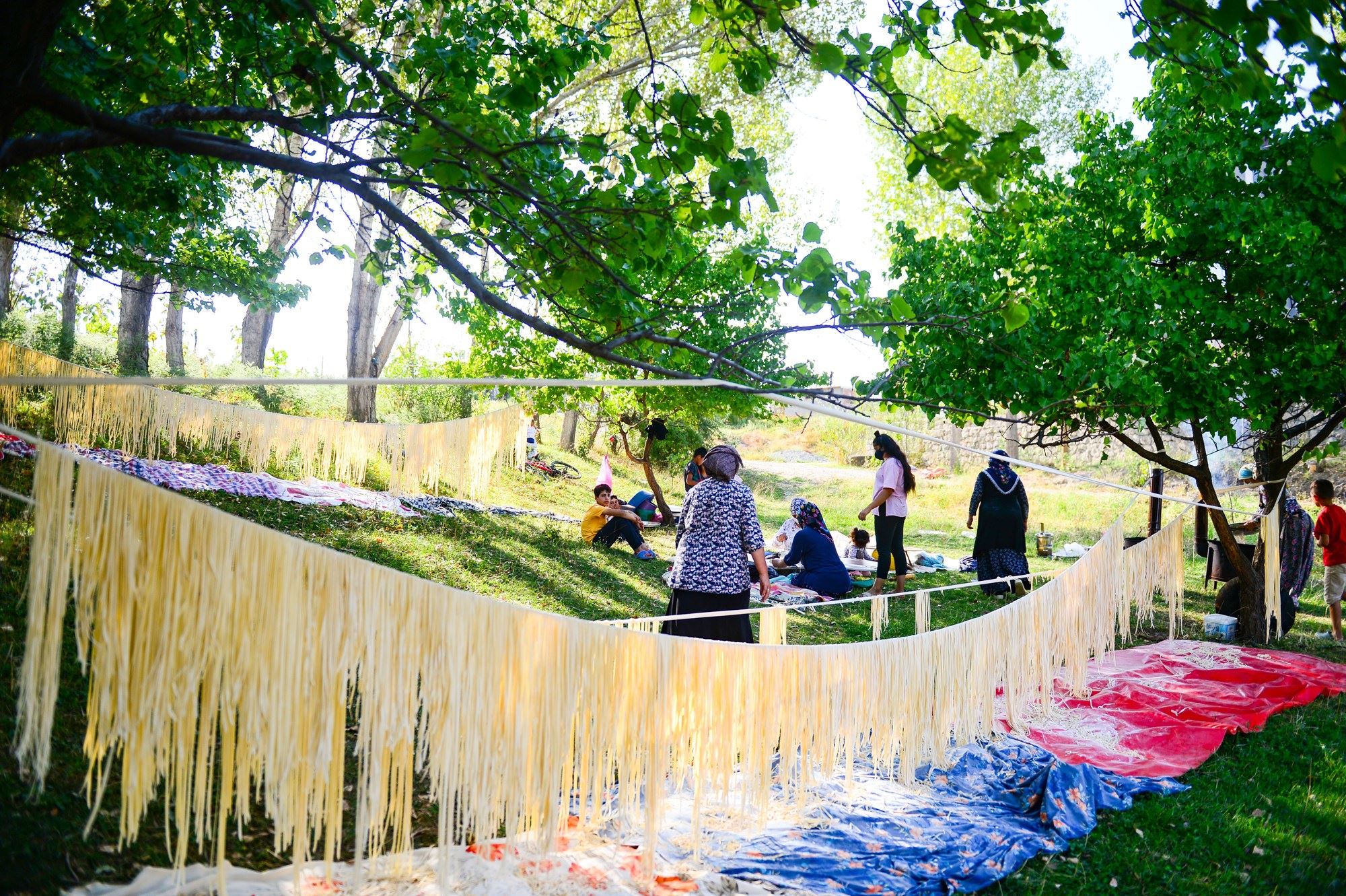 FOTO – Iğdırlı kadınlar erişte mesaisinde