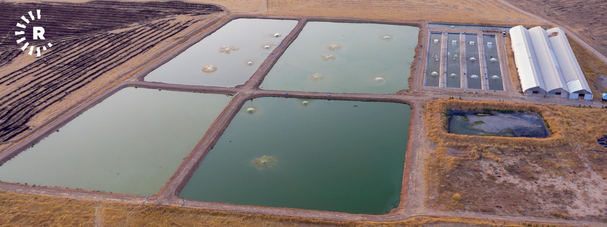 WÊNE – Li Hewlêrê projeya xwedîkirina masî bi sîstema Norwecî