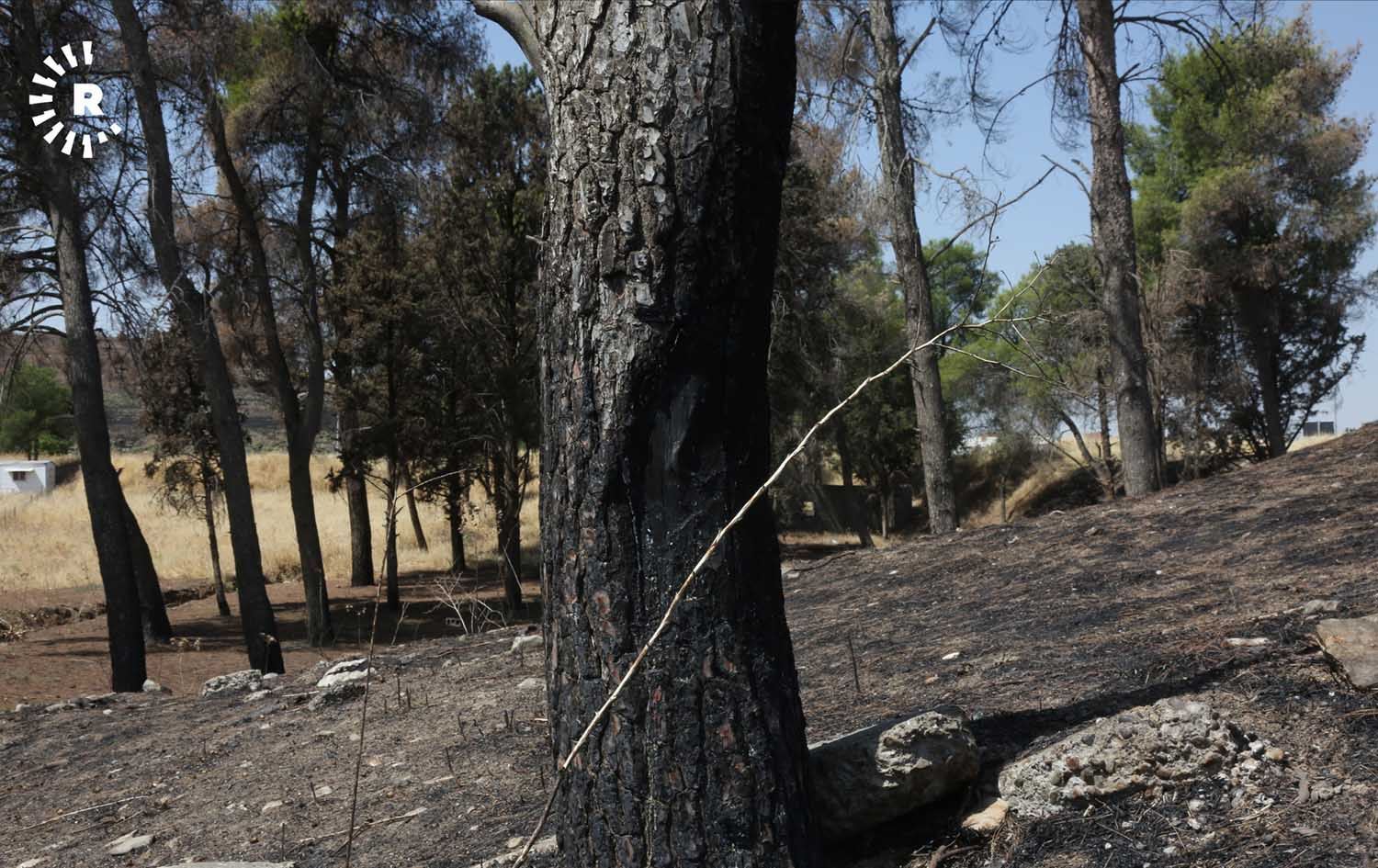 لیژنەی پەرلەمانی کوردستان لێکۆڵینەوە لە سووتانی سنەوبەرەکانی سلێمانی دەکات