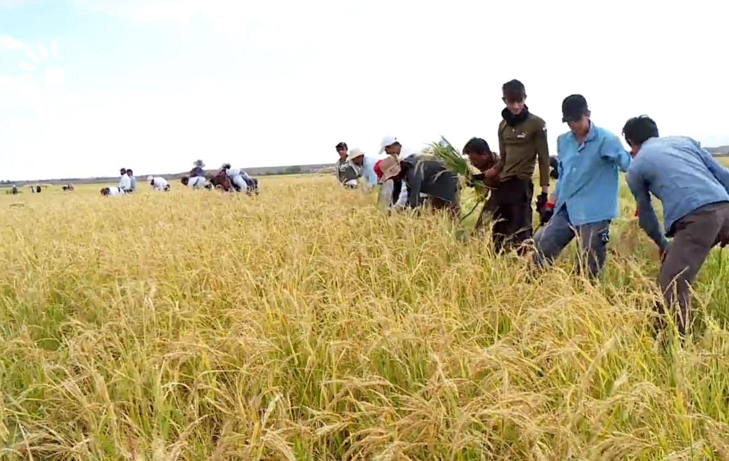 Çinîna birinca qerejdaxê dest pê kir