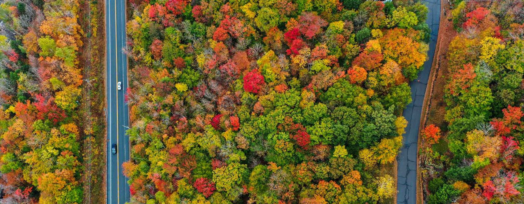 WÊNE – Payîz li New Hampshire a Amerîkayê