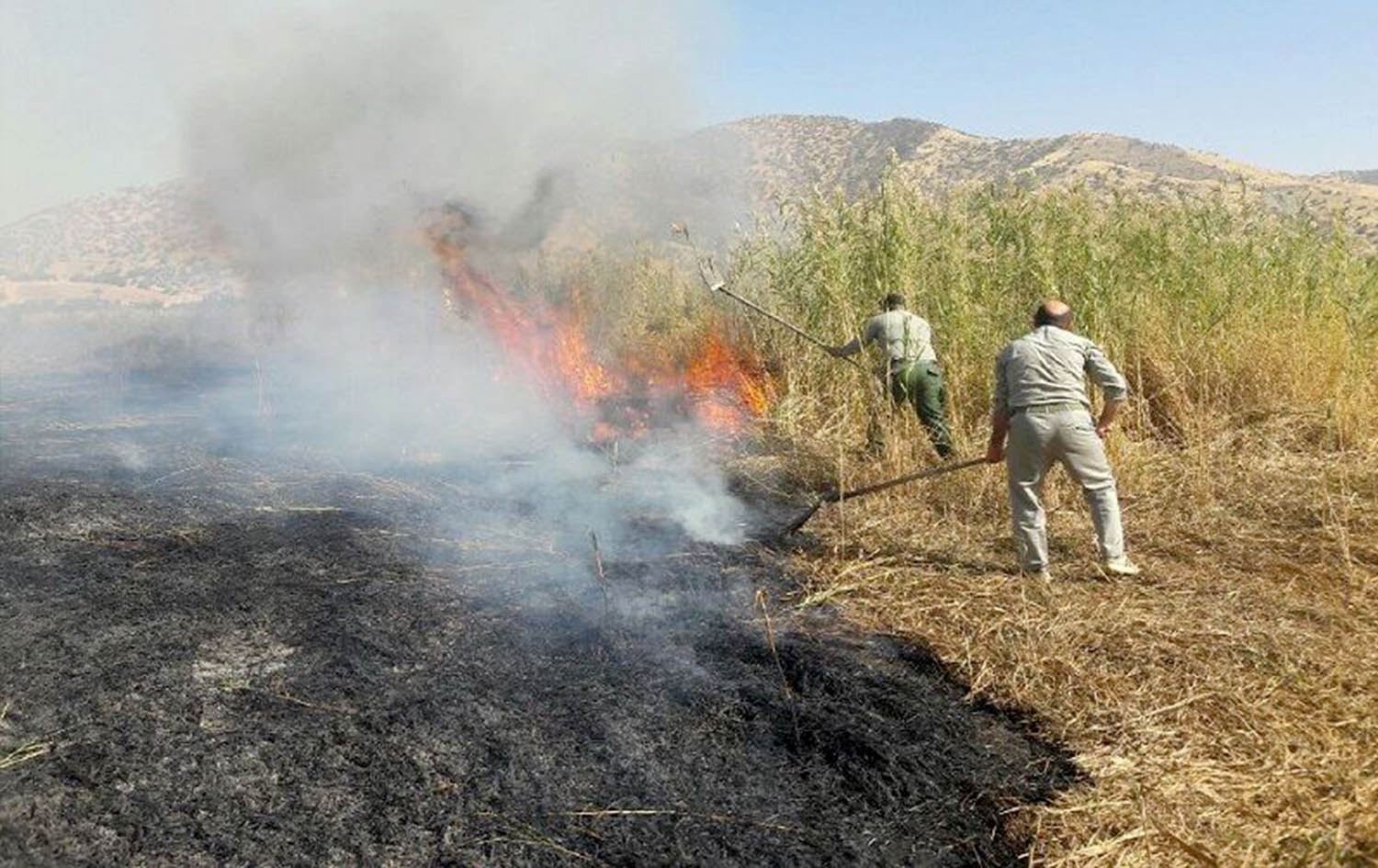سێ هێکتار لە قامیشەڵانەکانی دەوروبەری دەریاچەی زرێبار سووتان