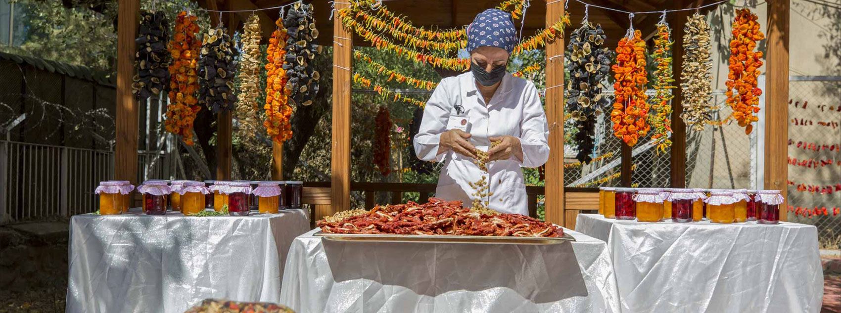 Hişikkirina fêkî û şînkatiyan li Amedê