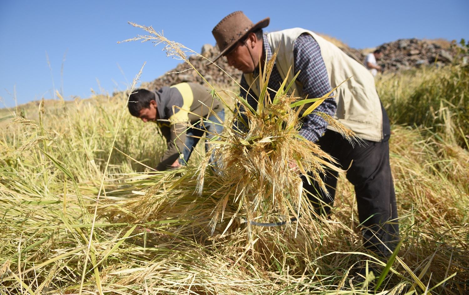 Li Girê Sor a Rihayê dirûna birinca qerecdaxê destpê kir