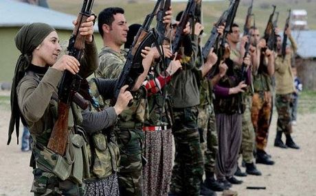 HDPê dixwaze cerdevanî bi temamî ji holê rabe