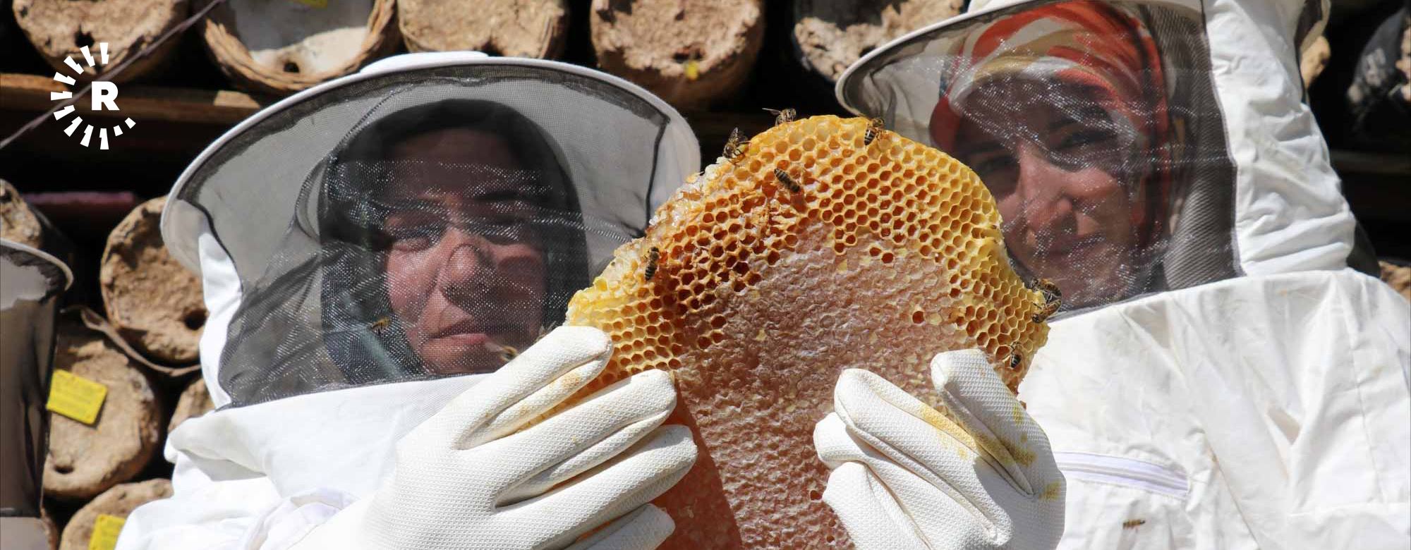 WÊNE- Jinên Wanî Hingiv berhem tînin