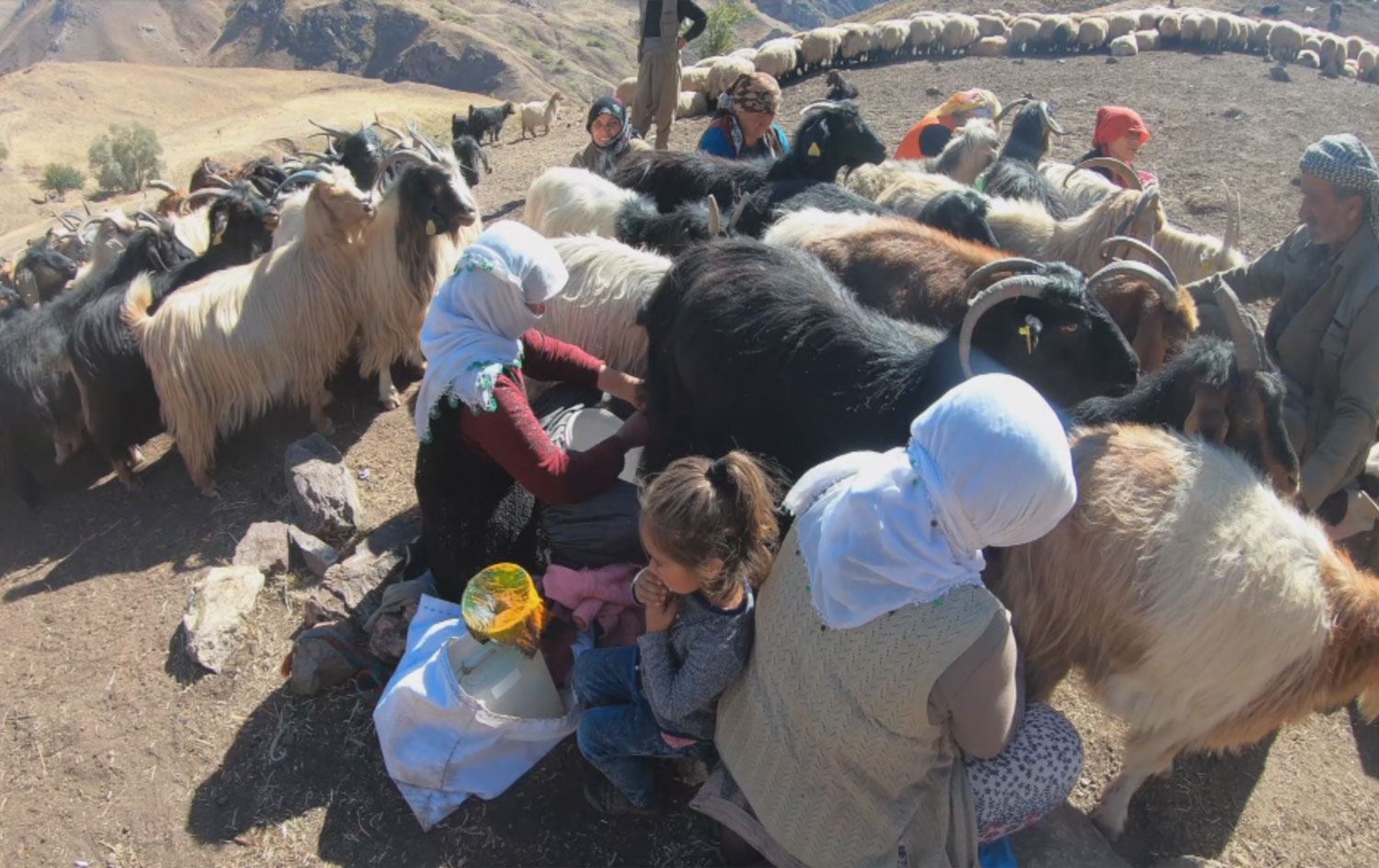Göçer yurdu Feraşin Yaylalarında hayat