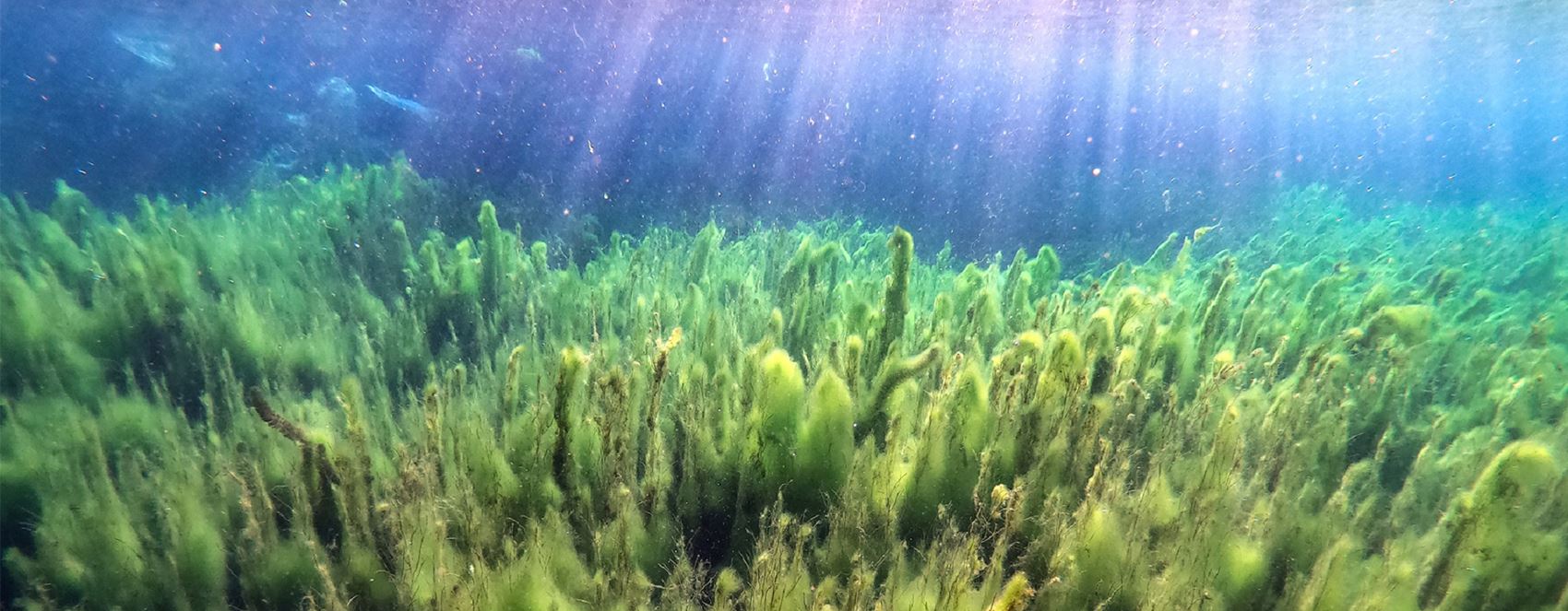 FOTO - Ağrı Dağı su kaynakları ve bozulmamış doğasıyla çevresine hayat veriyor