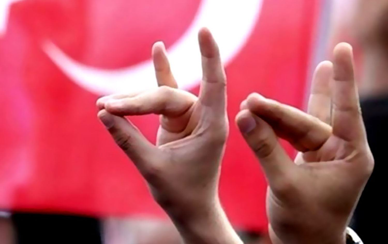 Fransayê grûpa tundrew a tirkî ya 'Gurên Boz' qedexe kir