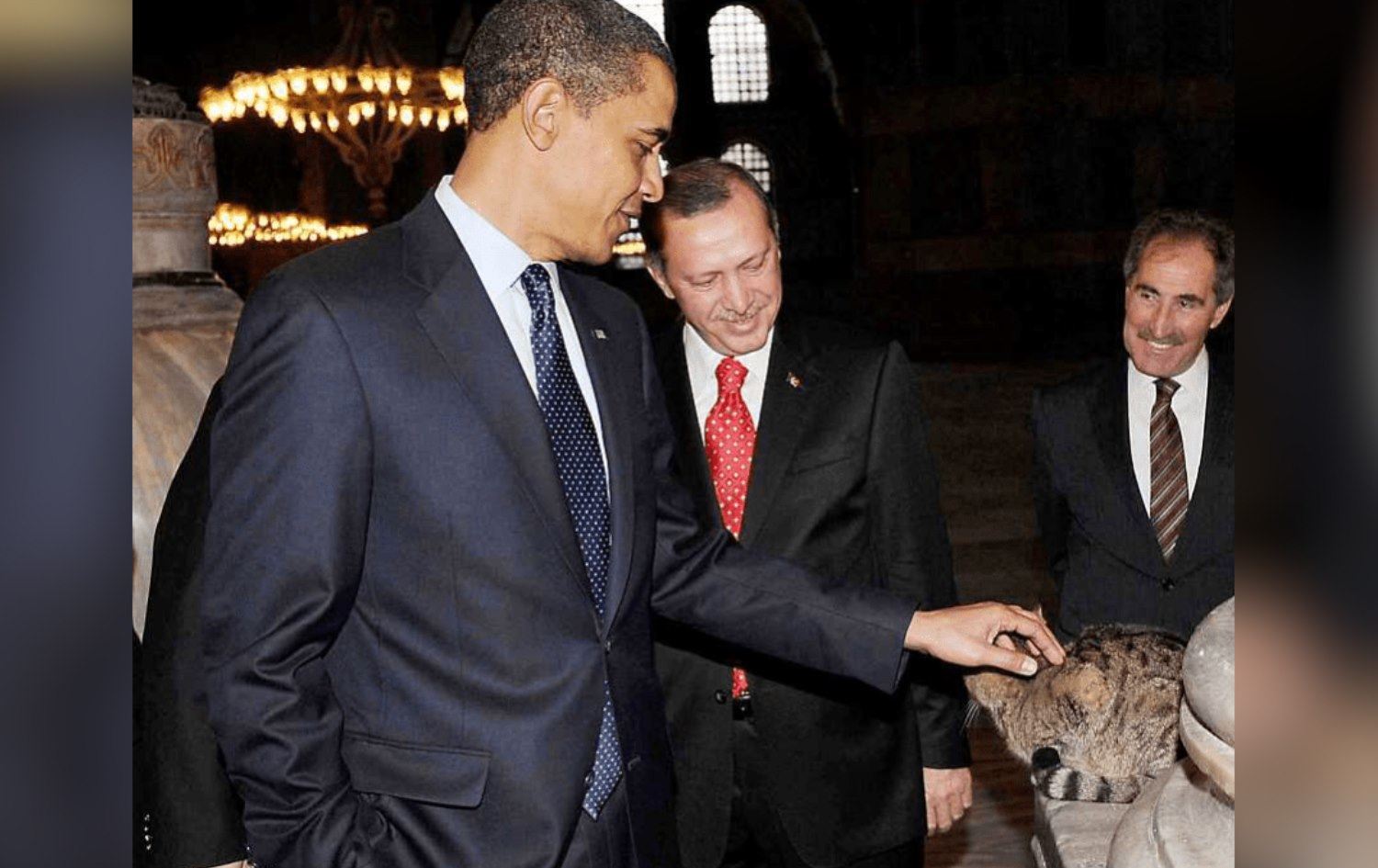 Obama ve Erdoğan'ın fotoğraf çektirdiği kedi hayatını kaybetti