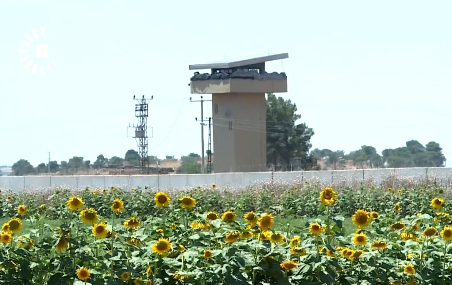 Cotkarên Rojavayê Kurdistanê nikarin kar di zeviyên xwe yên li ser sînor de bikin