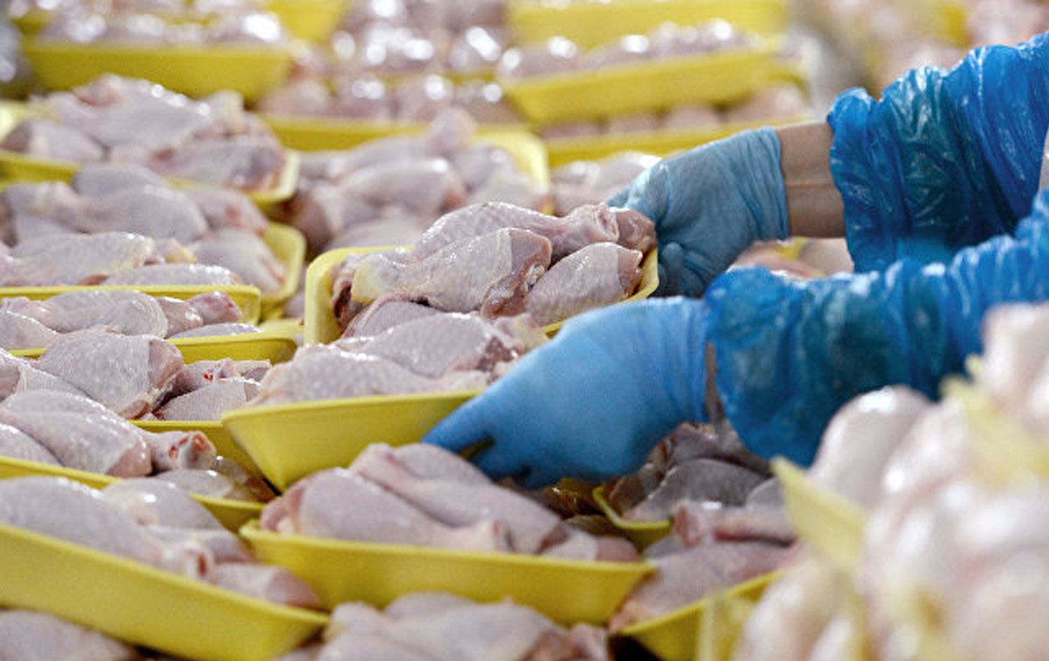 Suudi Arabistan, Türkiye'den hayvansal ürün ithalatını yasakladı