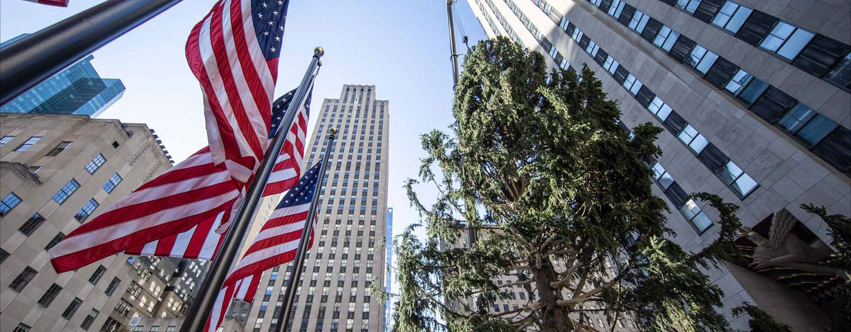 New York'ta pandemi gölgesinde Noel hazırlıkları