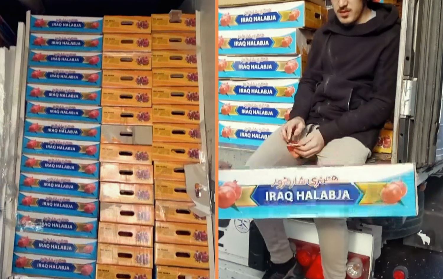 Elma kokusuyla yok edilmeye çalışılan Halepçe narıyla yaşıyor