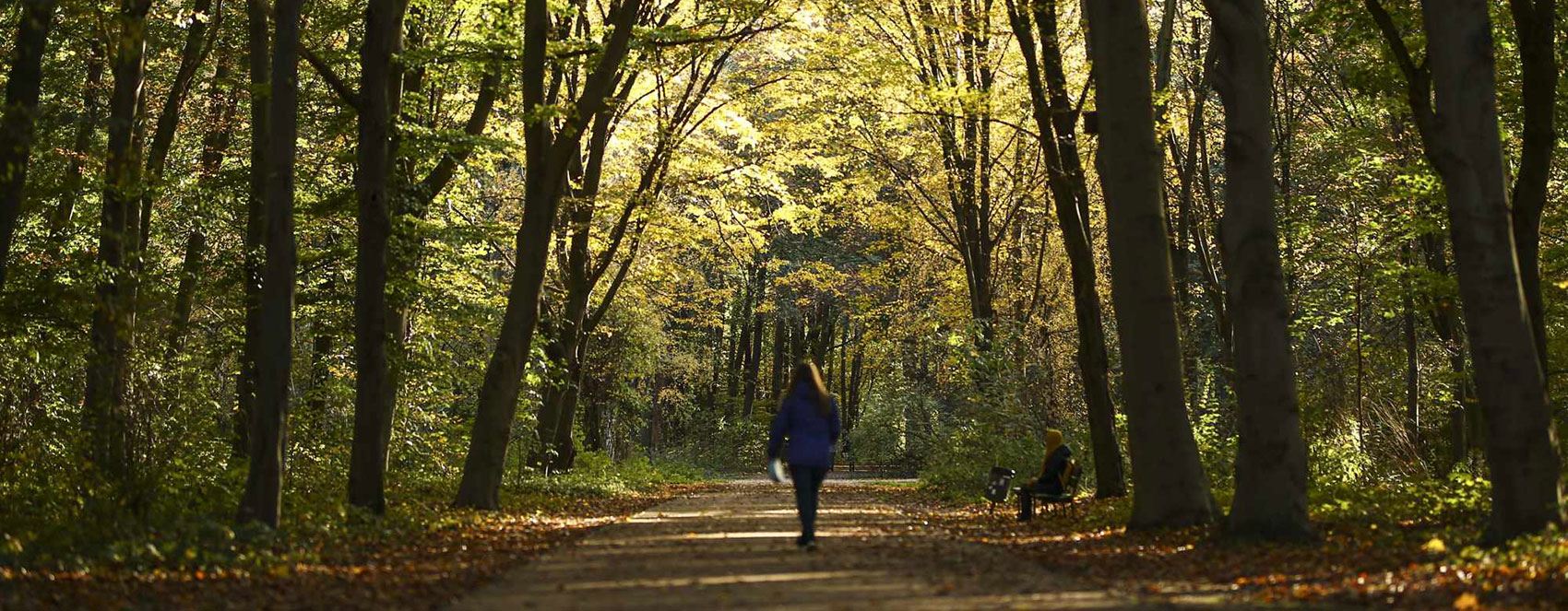 Fotoğraflarla Berlin’de sonbahar