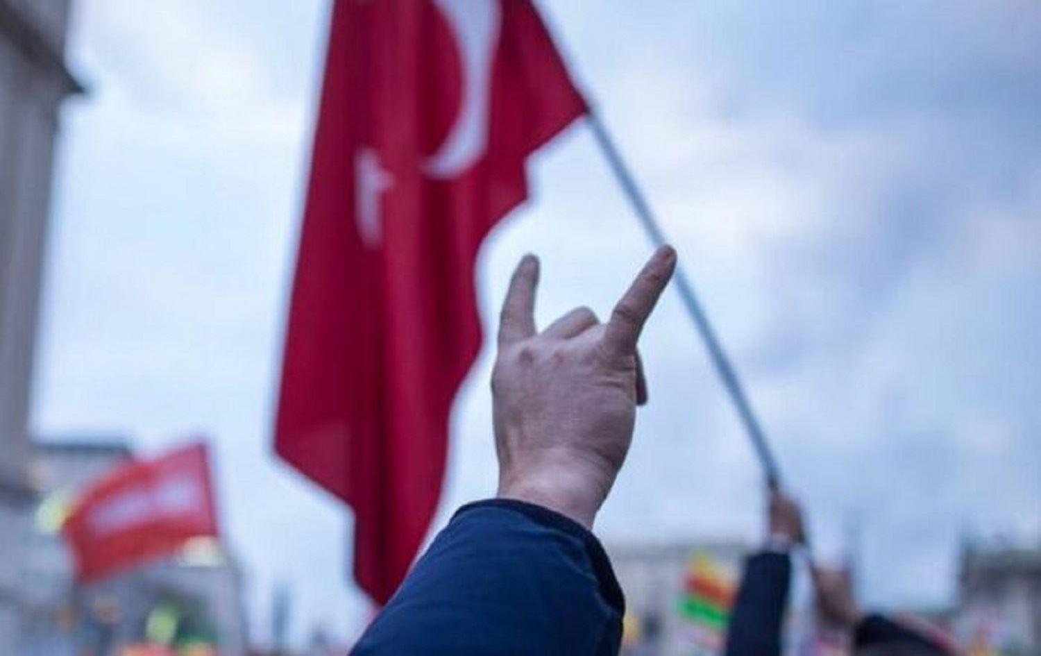 Almanyayê biryara çavdêrîkirina Gurên Boz da