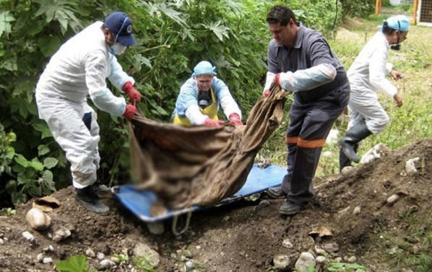 Li Meksîkayê di goreke bi komî de 113 term hatin dîtin