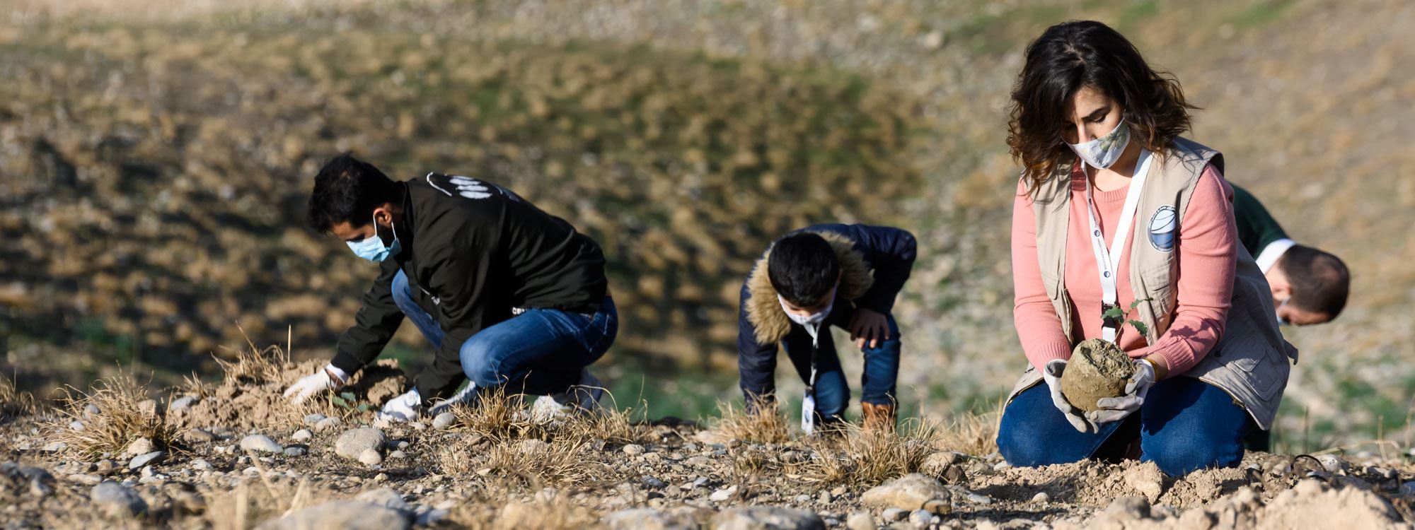FOTO - Kürdistan Bölgesi'nde 1 milyon fidan dikilecek