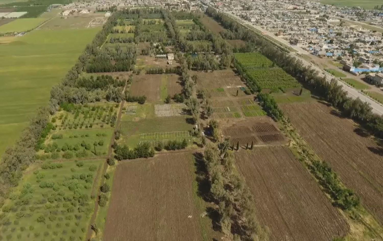 نەمامگەی سیروان لە خورماڵ کێشەی کەمیی فەرمانبەری هەیە