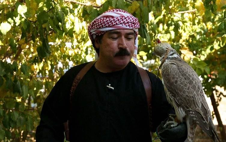 Li Hesekê nirxê hinek teyrên baz digihêje 80 hezar dolaran