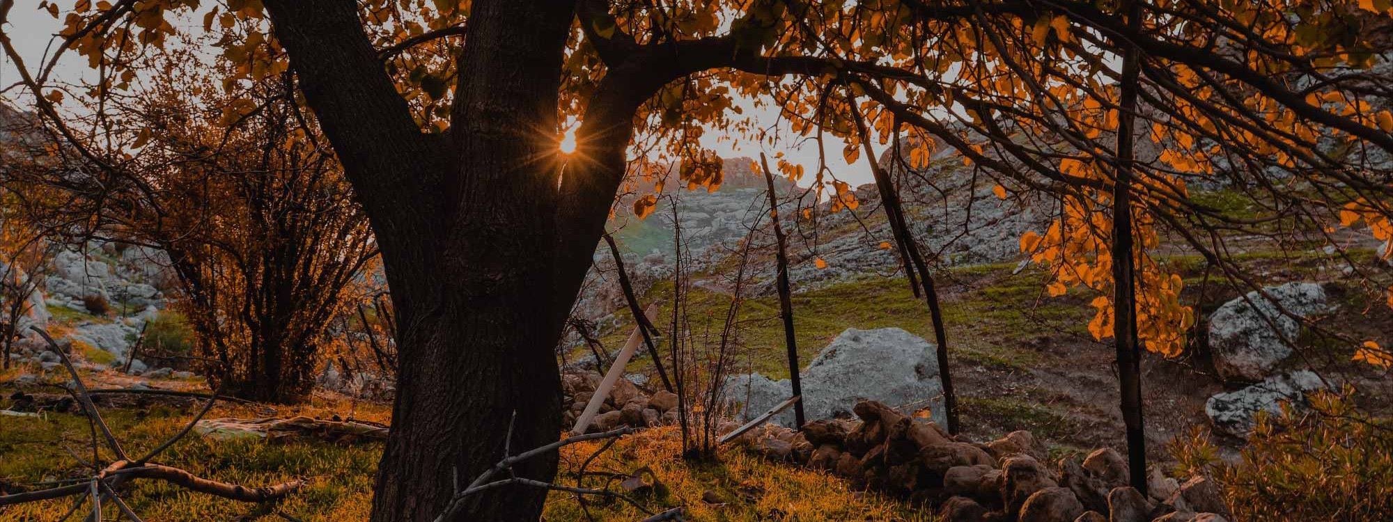 Fotoğraflarla Akre’de sonbahar renkleri