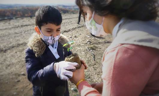 Kurdistan’s mighty oak: nurturing a now vulnerable species