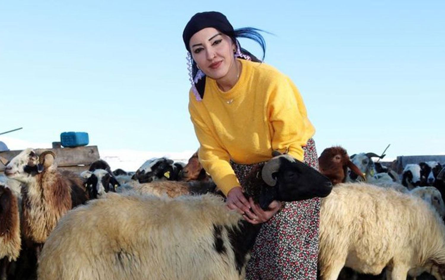 Ağrılı kadın muhtar: Can güvenliğim yok!