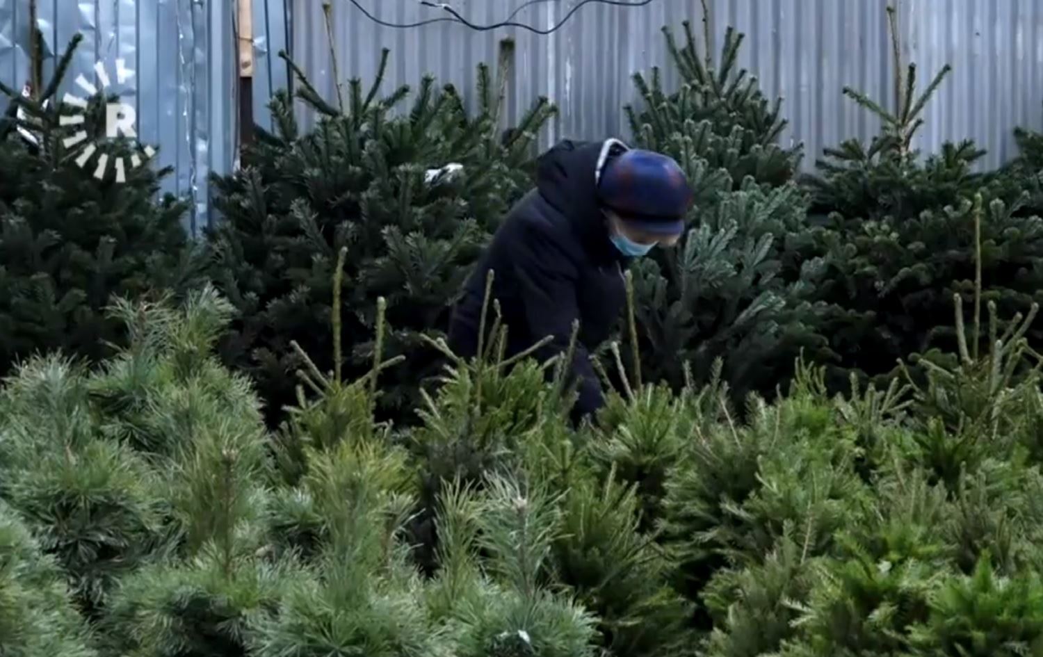 Li Moskowê bazara Dara Noelê lawaz e