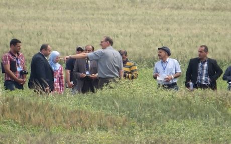 Farm Project May Switch from Mosul to Kurdistan