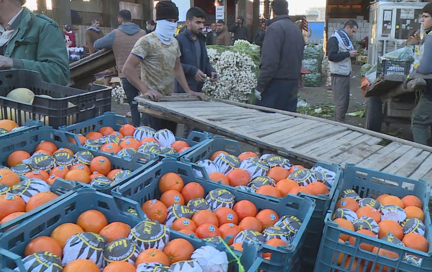 دیالە بەرهەمی پرتەقاڵ هەناردە دەکات