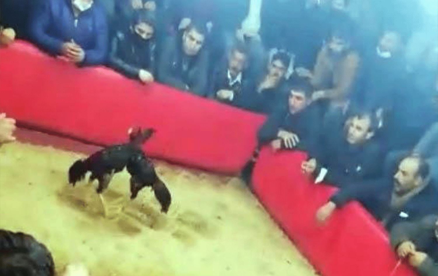 Li Ruhayê ji bo kesên dîk ber didan hev 14 hezar dolar ceza hat birîn