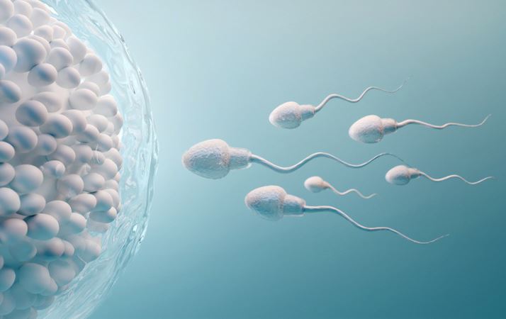 توێژینەوەیەک: لەهەندێک باردا لەوانەیە کۆرۆنا ببێتەهۆی نەزۆکی لە پیاواندا