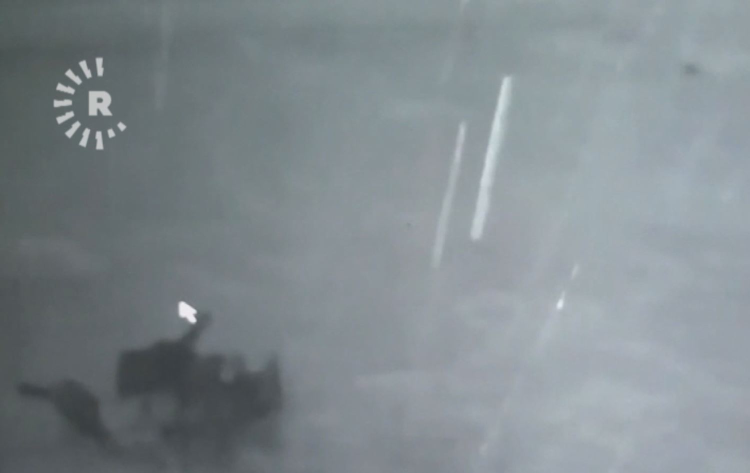 لە پارێزگای سێواز گورگ هێرشدەکەنە سەر گوندێک