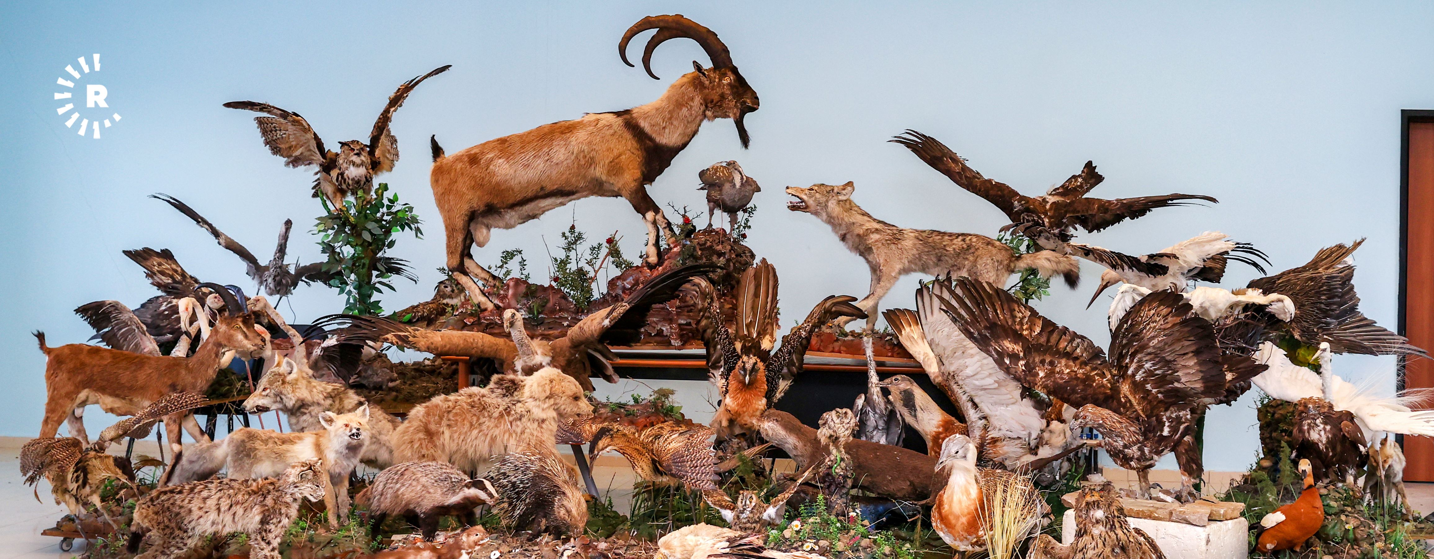 Li Wanê ajalên kovî yên di bin parastinê de ne dê di muzeyê de bên danasîn