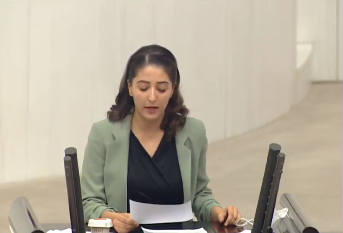 Dersîm Dag: Em dixwazin bi zimanê xwe biaxivin, bijîn û perwerdehiyê bibînin